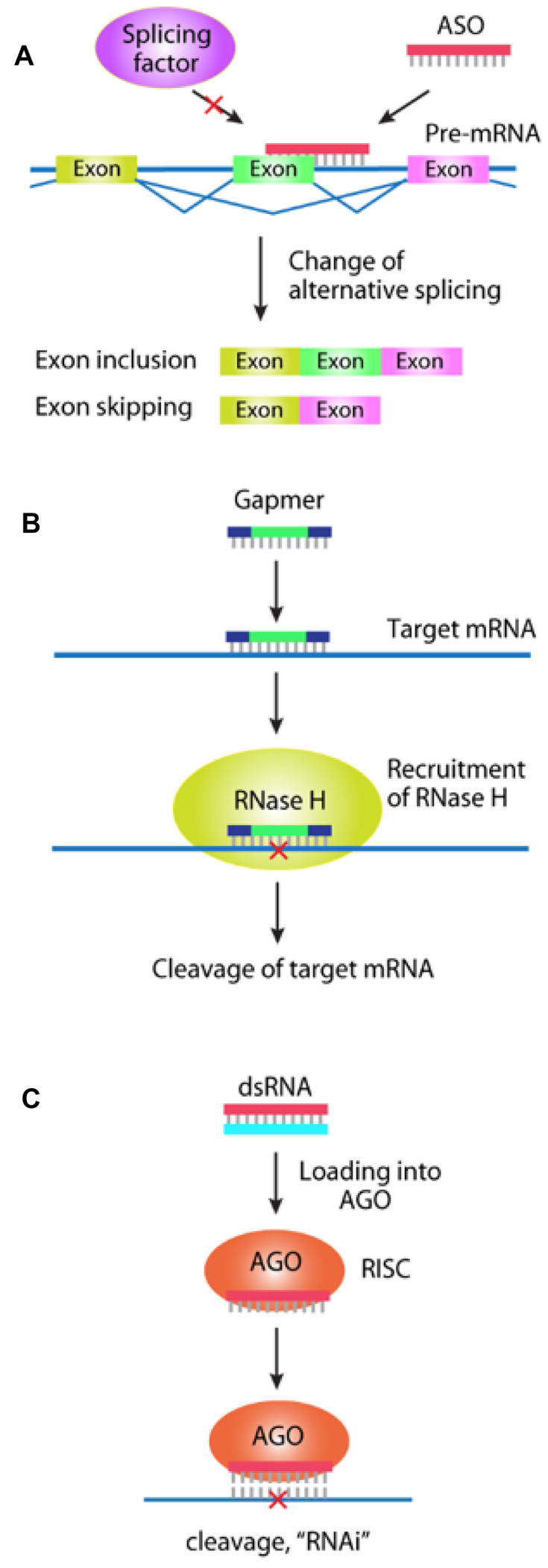 Figure 5.