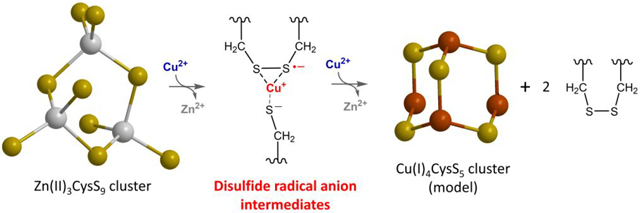 graphic file with name nihms-1785020-f0001.jpg