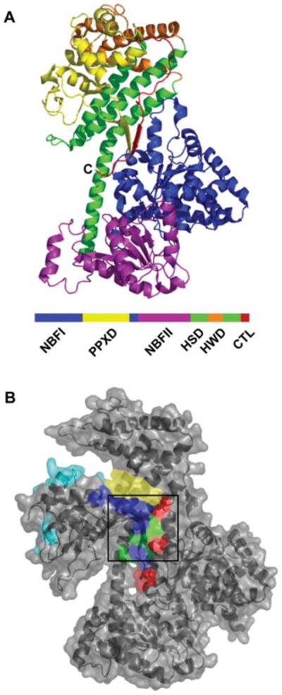 FIGURE 4