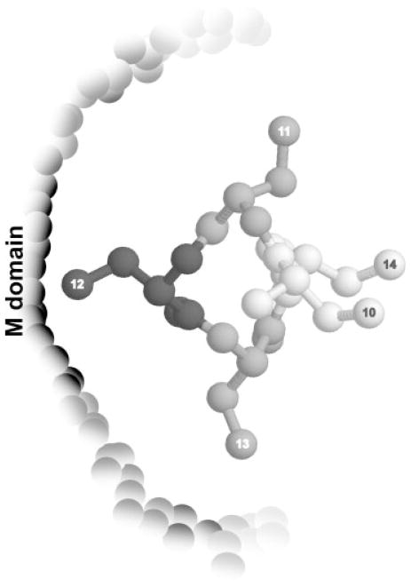 FIGURE 3