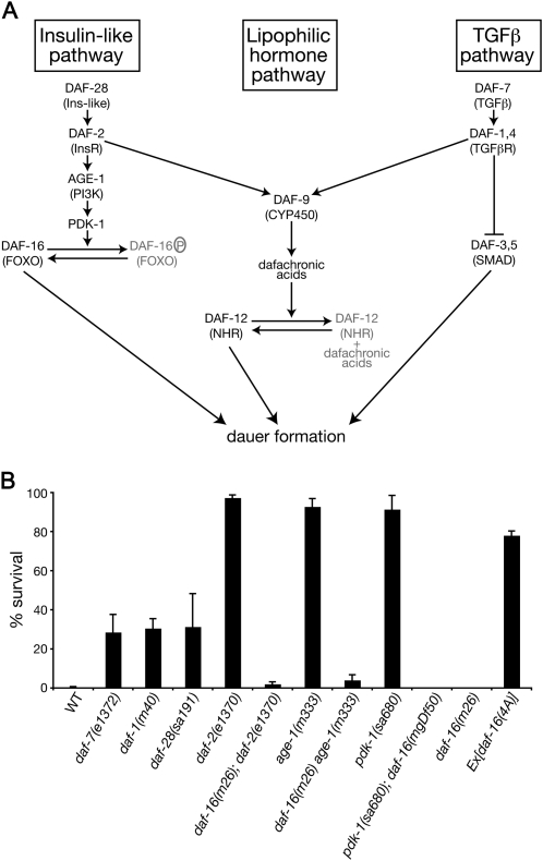 Figure 1.—