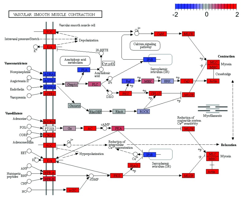 Figure 3. 