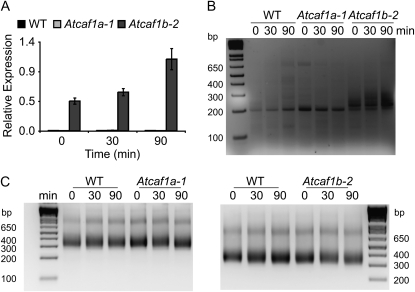 Figure 6.