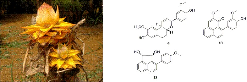 graphic file with name 13659_2011_7_Article_Fig1_HTML.jpg