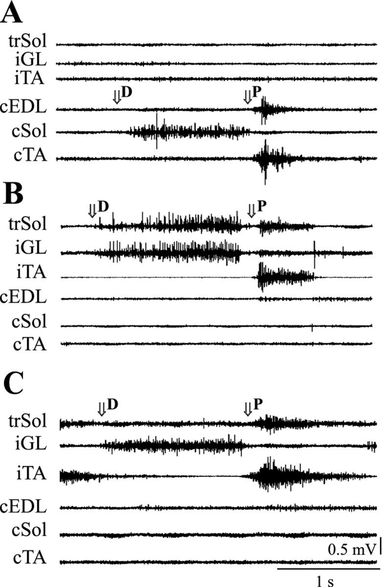 Fig. 3.