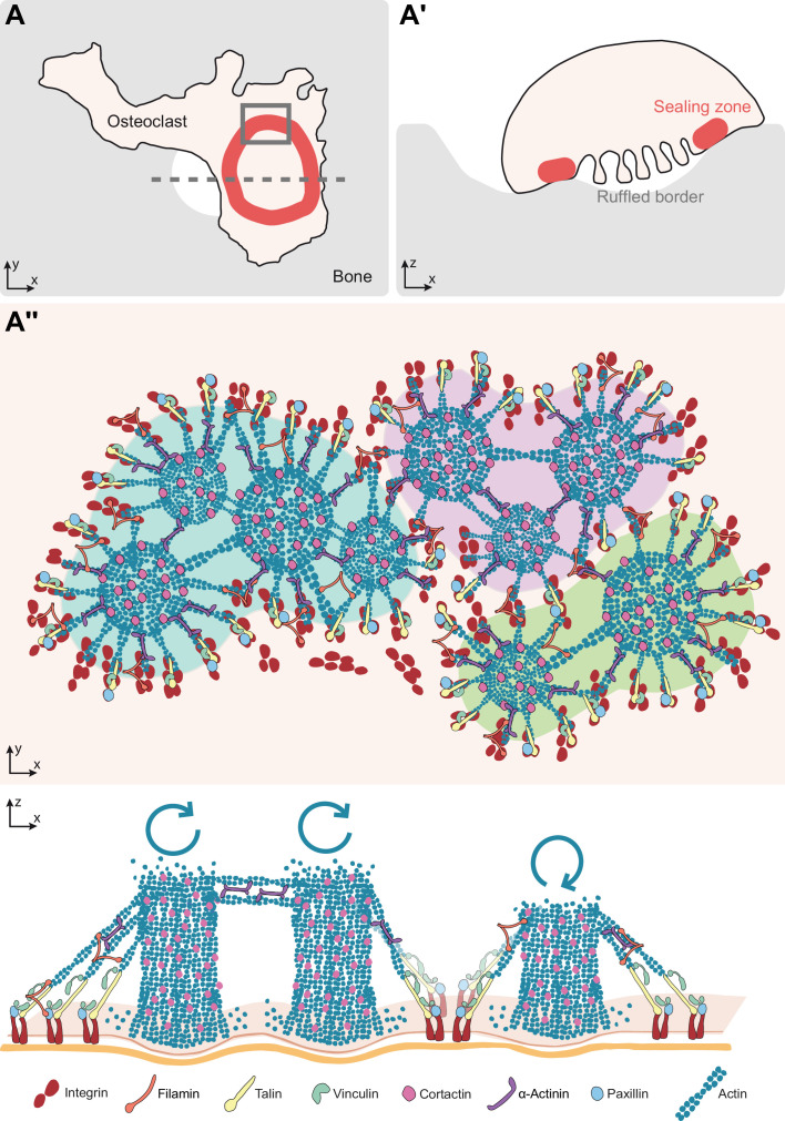 Figure 6.