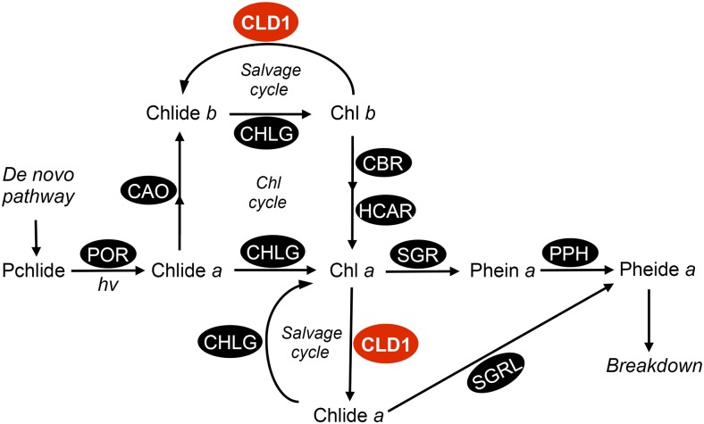 Figure 9.