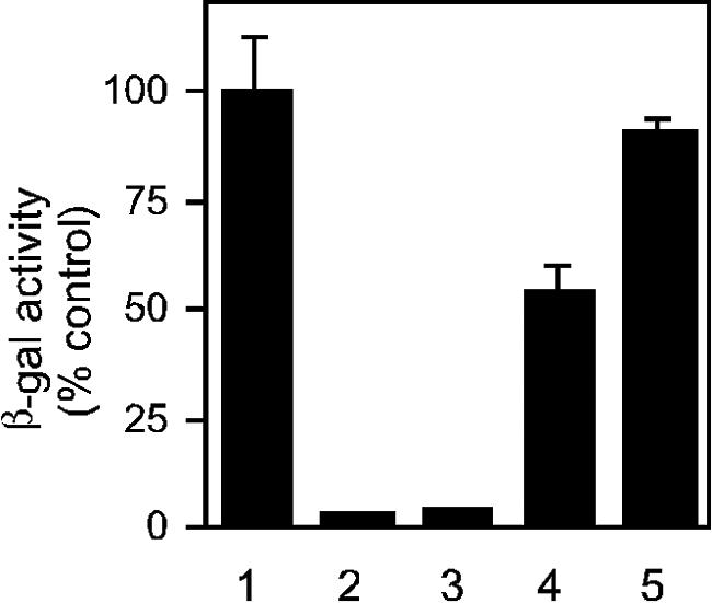 FIG. 5.