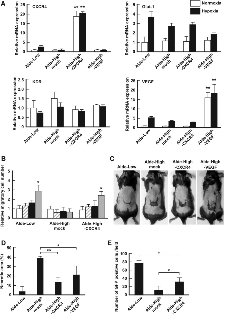 FIG. 4.