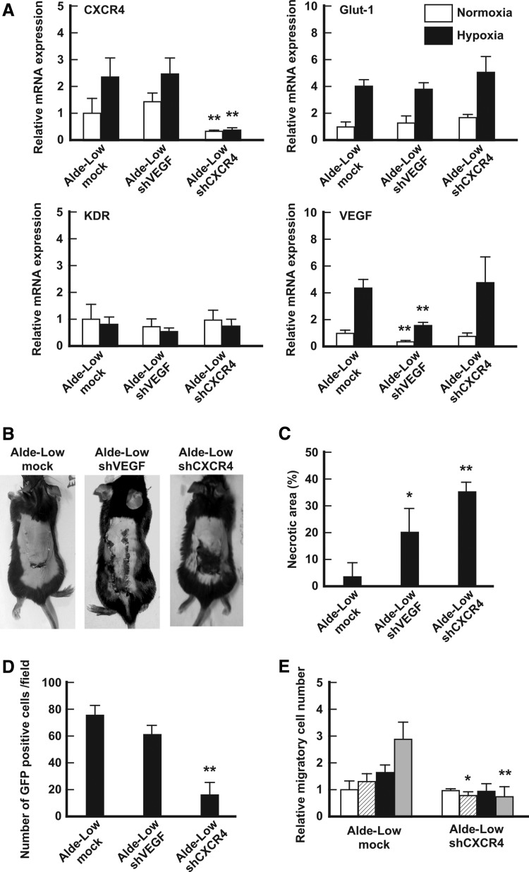 FIG. 3.