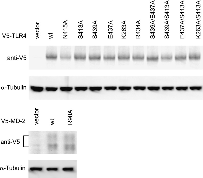 Fig. S3.