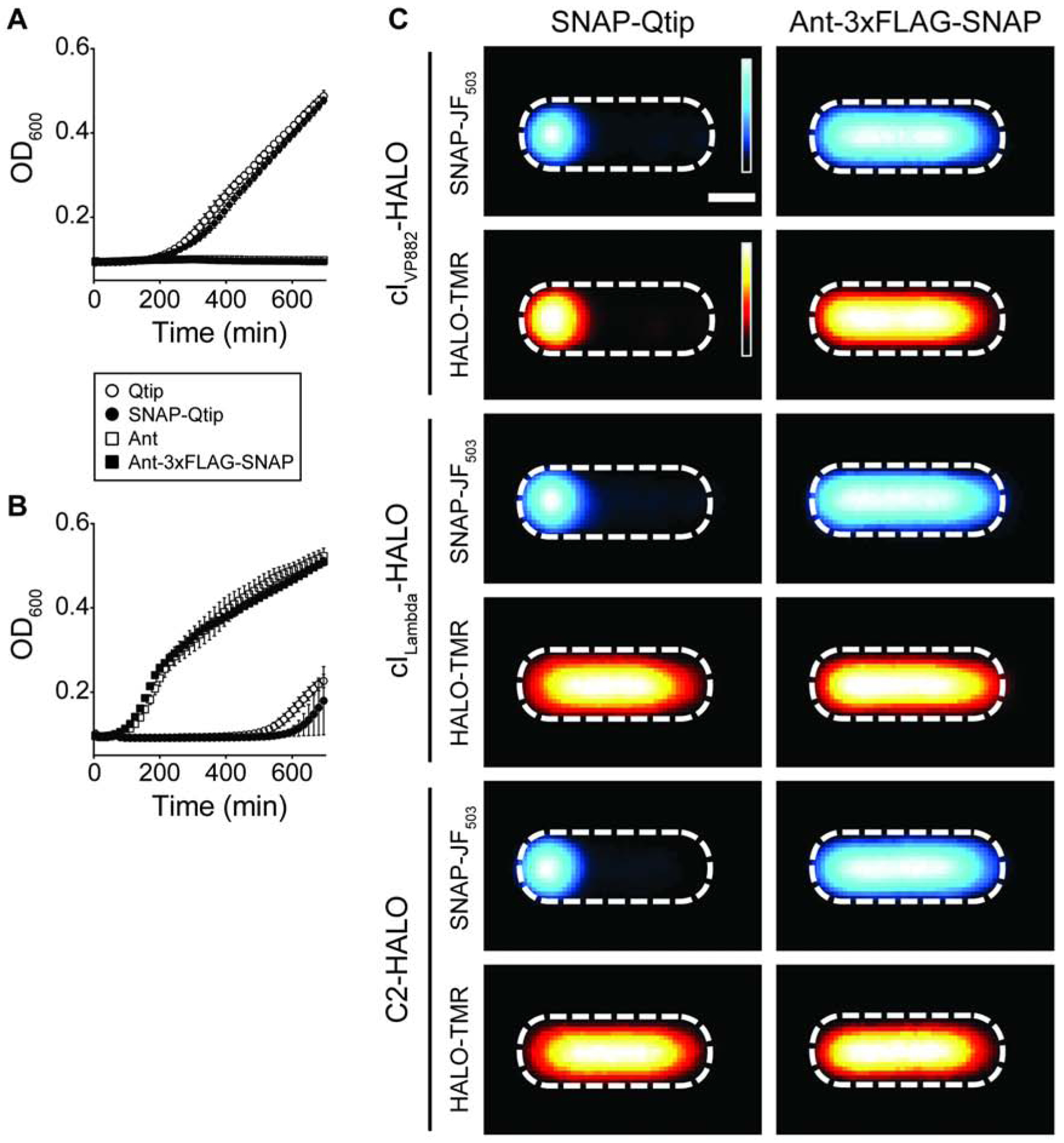 Figure 6.