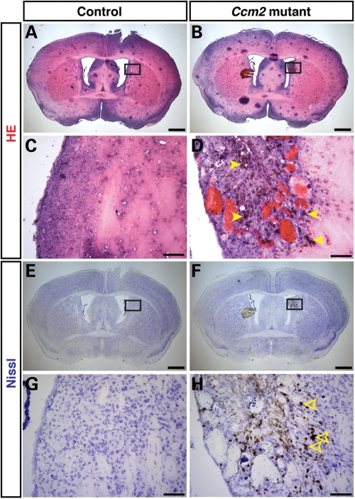 Figure 4.