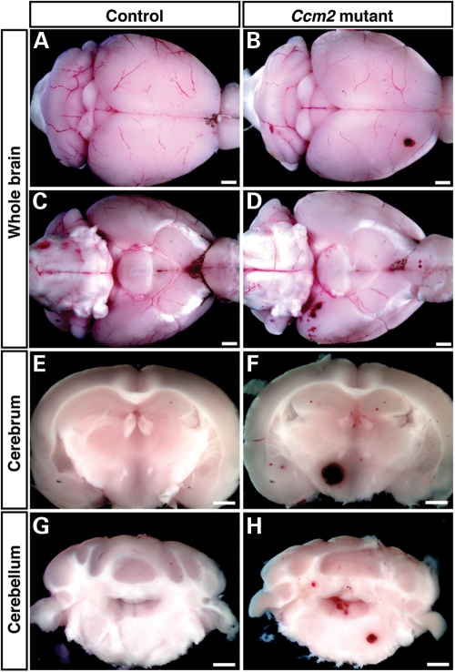 Figure 3.