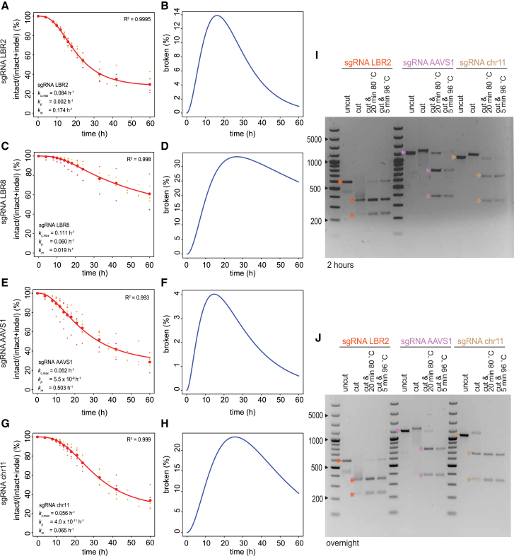 Figure 6