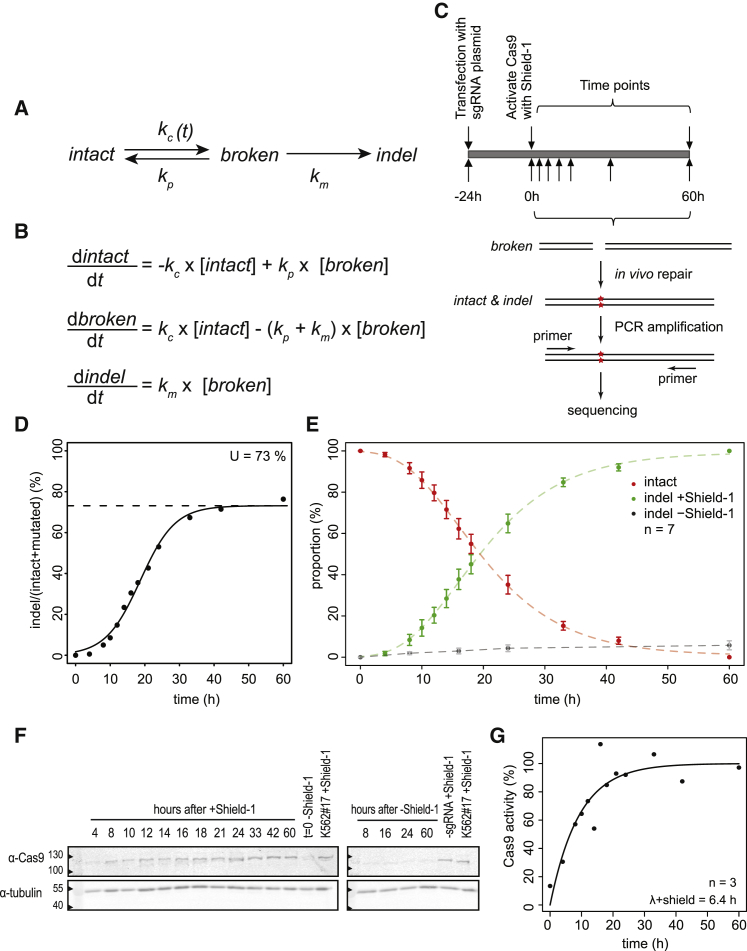 Figure 1