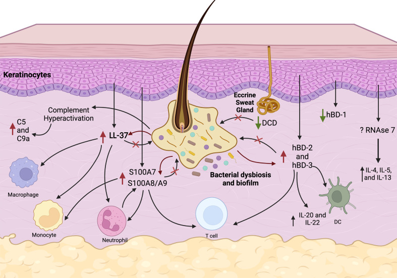 Figure 1