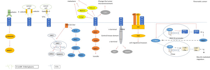 Fig. 3