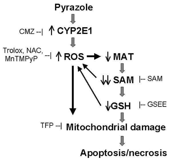 Fig. 8