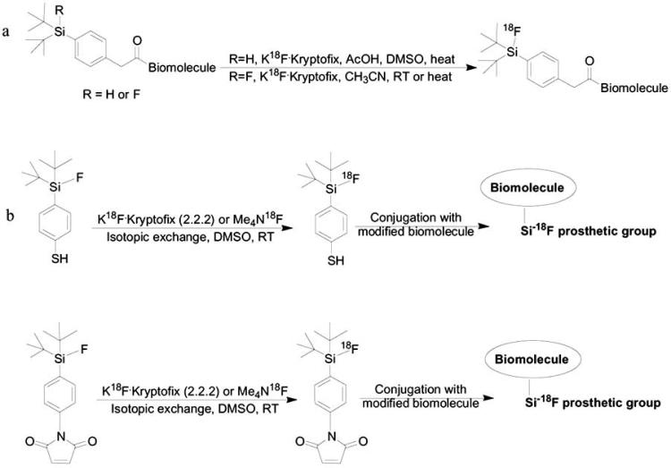 Scheme 9