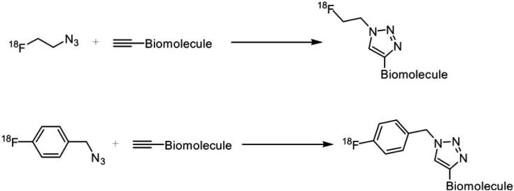 Scheme 8