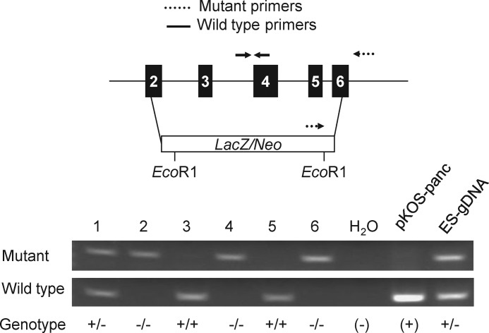 FIGURE 6.