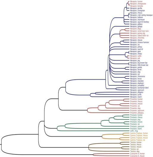 FIGURE 1.