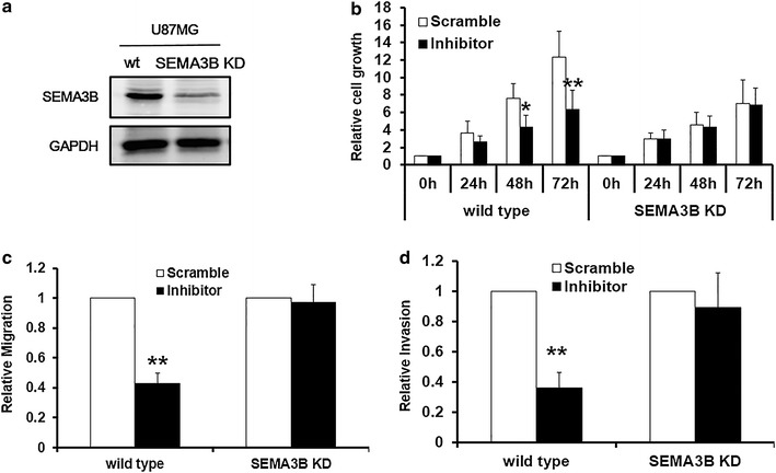 Figure 5