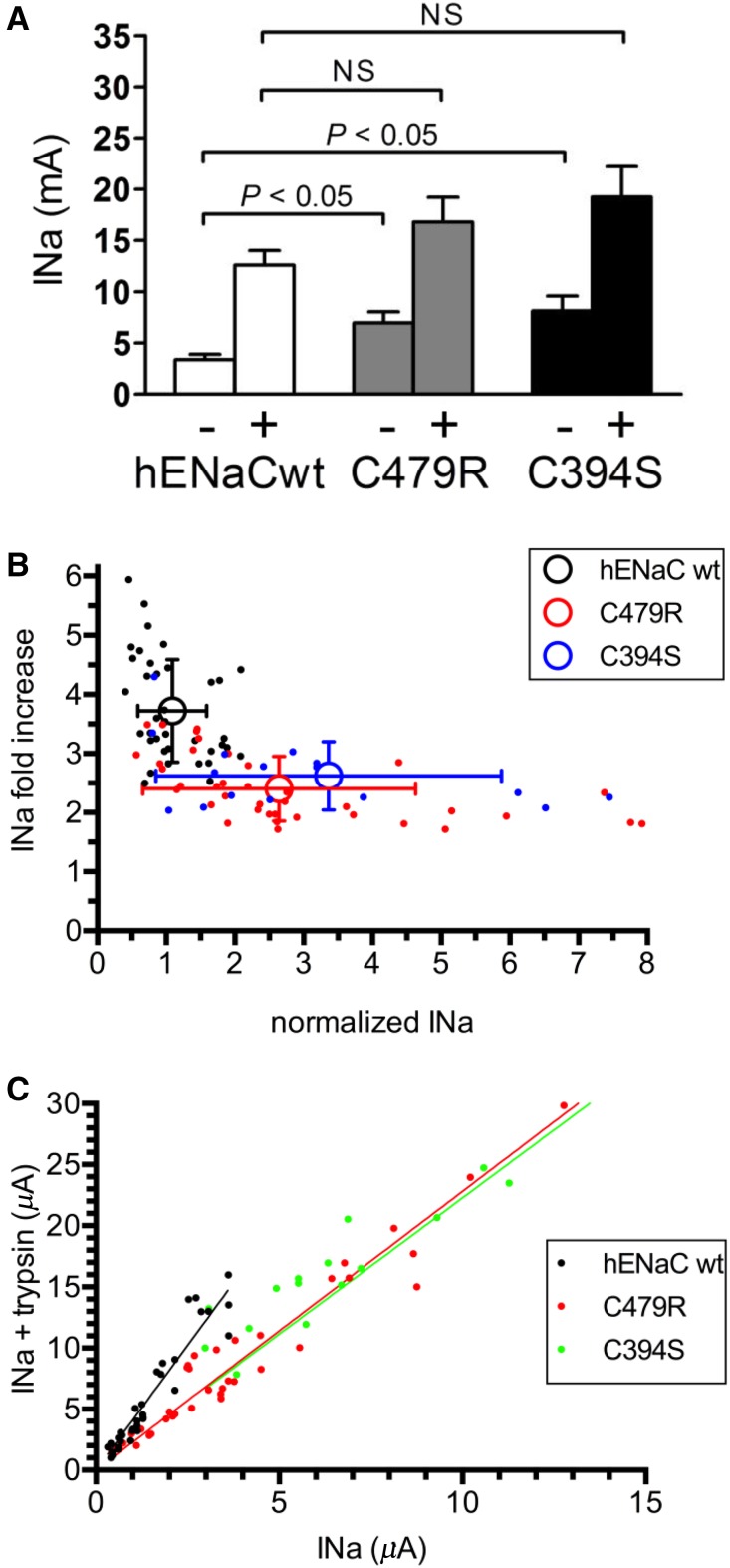 Figure 5.