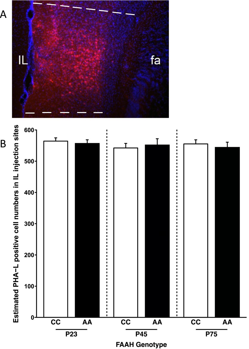 Fig. S5.