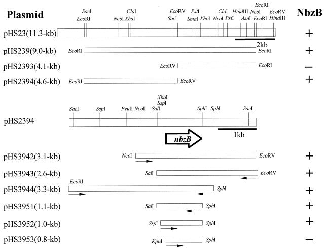 FIG. 3