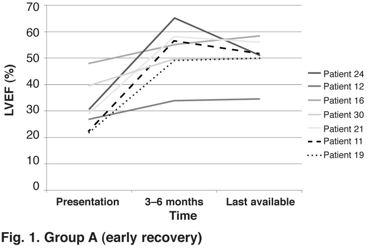 (Fig. 1: group A)