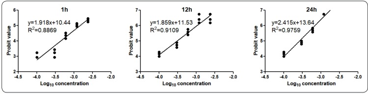 FIGURE 2: