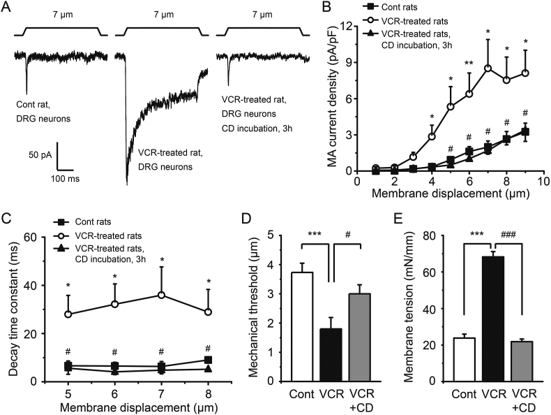 Figure 10