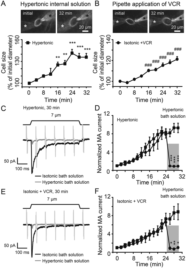 Figure 6