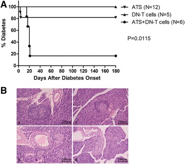 Fig. 4