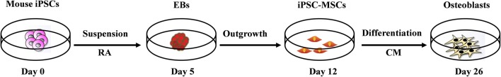 Fig. 1