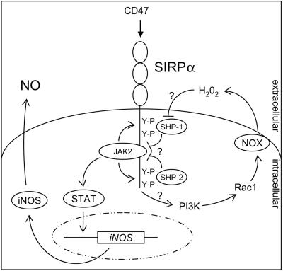 FIG. 8.