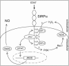 FIG. 8.