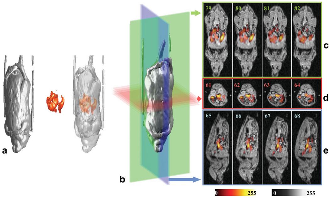 FIG. 7