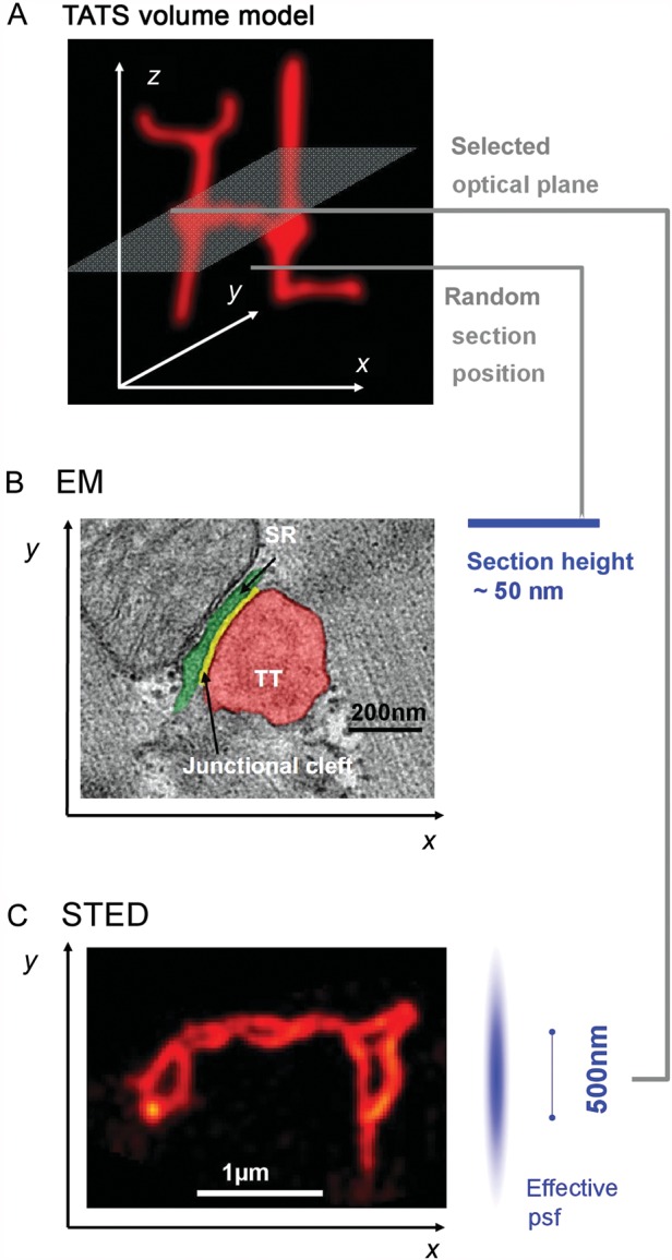 Figure 1.