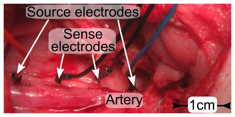 Figure 10.