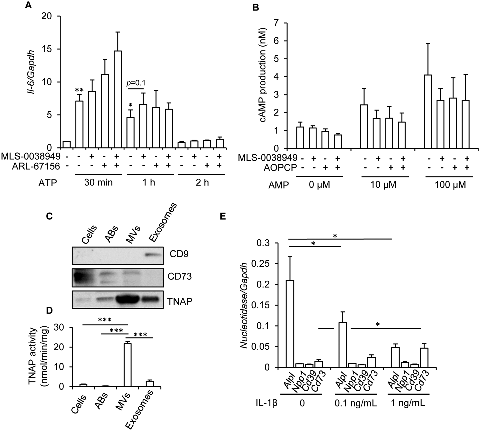 Figure 4: