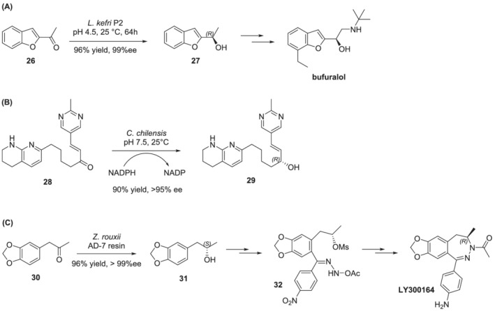 SCHEME 7