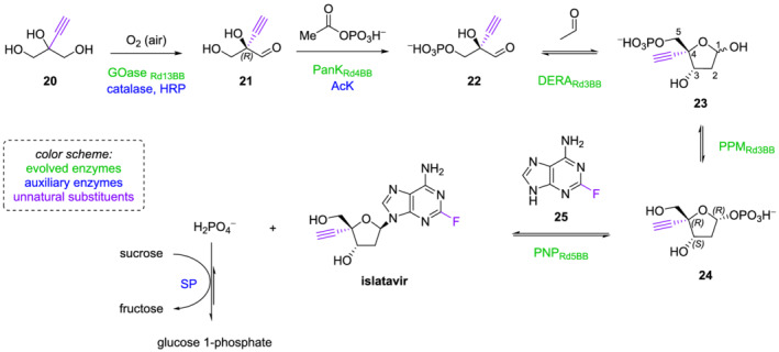 SCHEME 6