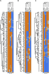 Figure 7.