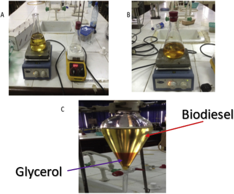 Figure 4