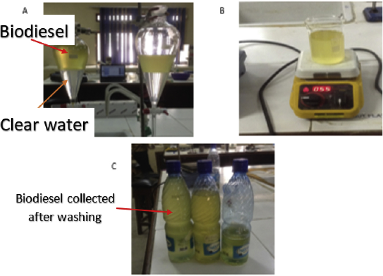 Figure 6