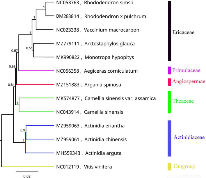 FIGURE 2