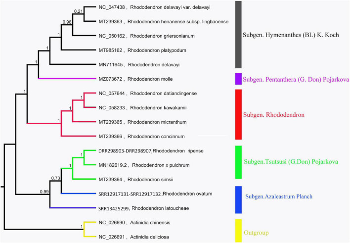 FIGURE 6